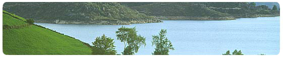 Recorridos en Oporto con guias de habla Espanola. Minho, Guimaraes, Braga, Douro. Reservas de Hoteles, restaurantes, autobuses. Bajos precios a grupos y Agencias de Viajes. Tours regulares y privados.