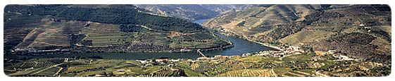 Tour to Santiago de Compostela in Spain starting in Oporto, Portugal. Guided tours excursions in Oporto.
