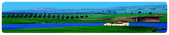 Guided long tour of Northern Portugal. Luxury, deluxe holidays in historical and nature pousadas. Vacations, excursions and tourism in Portugal with a Portuguese Tour Operator.