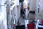 Private excursions by limousines in Lisbon.