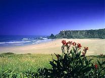Tours en Algarve. Visites au Sud du Portugal avec une Agence de Voyages Portugaise. Reservations d�Excursions, hotels, autobus, transferts.