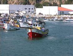 Arrabida and Sesimbra are available in day tours starting in Lisbon