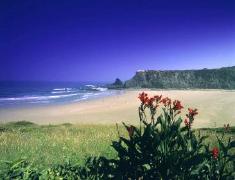 Algarve - Sightseeing tours of Algarve, Lisbon and Spain