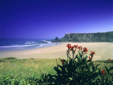 Algarve - Sightseeing tours of Algarve, Lisbon and Spain