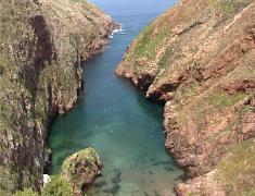 Berlengas pictures Portugal