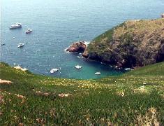 Berlengas images Portugal