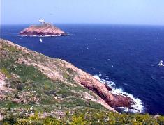 Berlengas images Portugal