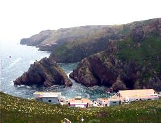 Berlengas images Portugal