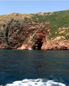 Berlengas images Portugal
