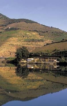 Douro river cruises and boat tours