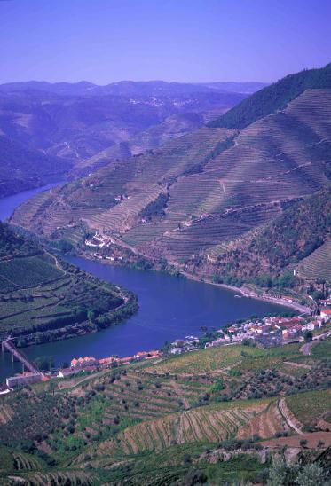 Tours in the North of Portugal: Cultural, historical, religious and wine itineraries.