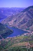 Excursions a Porto, Portugal : Guimaraes, Minho, Braga, Fatima, Coimbra. Guides francophones. Circuits, Tours guides, Hotels, restaurants, autobus, limousines, vacances et tourisme, Portugal.