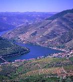 Excursions a Porto, Portugal : vall�e Douro