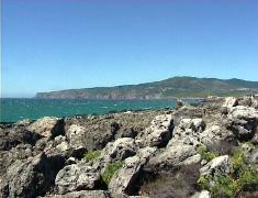 roca cape