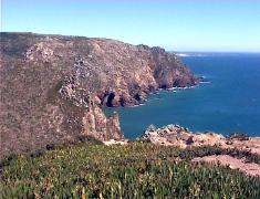 roca cape