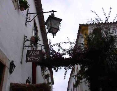Obidos can bee seen is a day tour from Lisbon. A private tour would let you stay the all day.