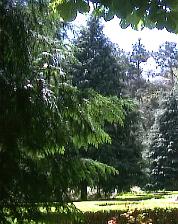 Parques e jardins de Lisboa