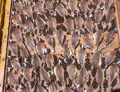 Fish drying in Nazare
