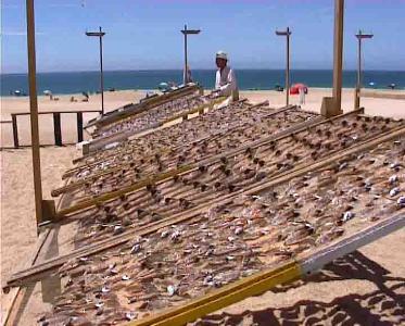 Holidays in Nazare - This beach is the perfect place to spend your vacations