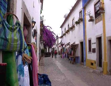 Obidos can bee seen is a day tour from Lisbon. A private tour would let you stay the all day.
