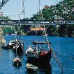 Guided long tour of Northern, Central and Southern Portugal. 