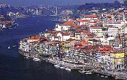 Oporto tour - half day - Daily Sightseeing tours, Oporto, Portugal. 