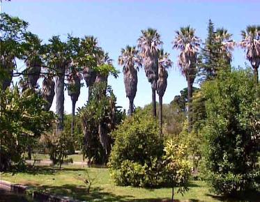 Parks of Lisbon can be visited in a private tour of Lisbon