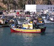 Excursions priv�es � Lisbonne, Portugal. Visites guid�es avec une Agence de Voyages portugaise.