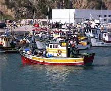 Excursions � Lisbonne, Portugal. Visites guid�es avec une Agence de Voyages portugaise.