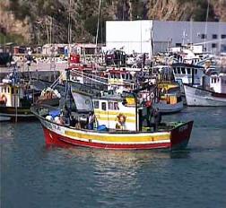 Excursions priv�es � Lisbonne, Portugal. Visites guid�es avec une Agence de Voyages portugaise.