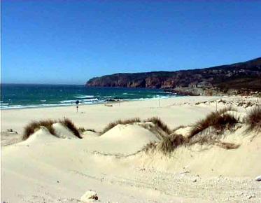 Estoril Coast is included in Lisbon sightseeing tours