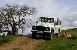 Safaris en Algarve