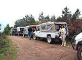 This is the most popular safari trip practiced in the surroundings of Lisbon, the beautiful Sintra mountain. A full day excursion in equipped Jeeps and escorted by our efficient safari guides.