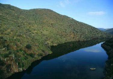 Douro valley is a place where we enjoy cruise tours in the Port wine region