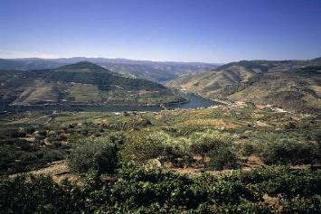Douro valley is a place where we enjoy cruise tours in the Port wine region