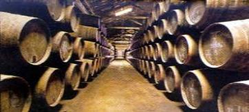 Douro valley is a place where we enjoy cruise tours in the Port wine region