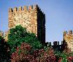 Guided tour packages by Portugal Travel Agency.