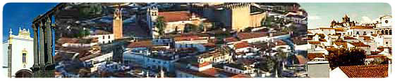 In Evora see Roman Temple, the Romanesque Gothic Cathedral. Lisbon private guided sightseeing tours. Luxury vehicles and guide services. Tours of Evora by limousines with multilingual drivers.