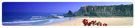 Agarve Travel Agencies