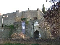Palmela photo