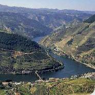 Portugal tours