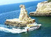 Seafaris in Algarve