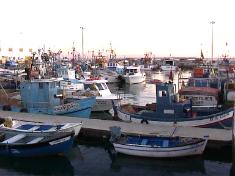 Setubal images