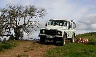 Algarve safari tours