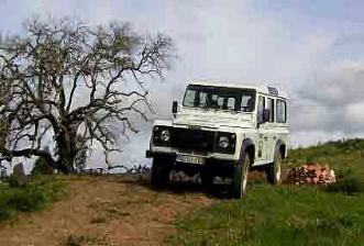 Safaris en Algarve
