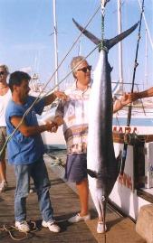 Seafaris no Algarve, Portugal. Pesca e Visitas panoramicas em barco, ferias e turismo de praia.