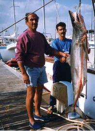 Seafaris no Algarve, Portugal. Pesca e Visitas panoramicas em barco, ferias e turismo de praia.